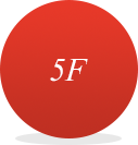 5F