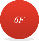 6F