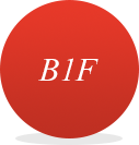 B1F