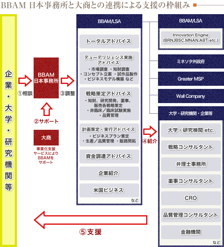 BBAM:日本事務所と大商との連携による支援の枠組み