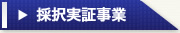 採択実証事業